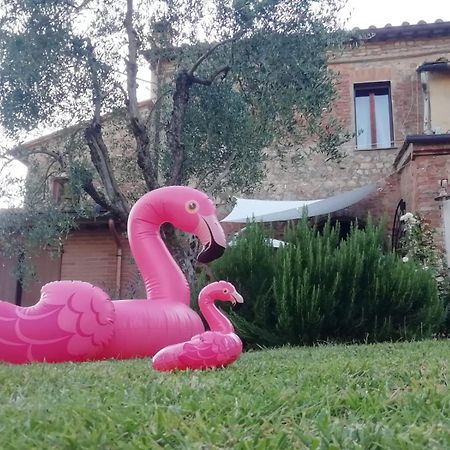 Agli Olivi Di Marciano Lejlighed Siena Eksteriør billede