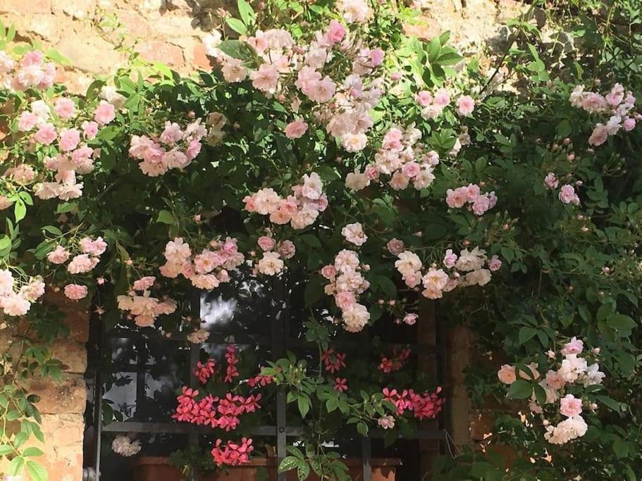 Agli Olivi Di Marciano Lejlighed Siena Eksteriør billede